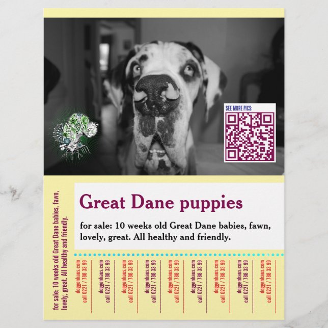 Colorful tear off dog flyer  (Front)