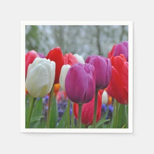 Colorful tulips beauty  sticker napkin