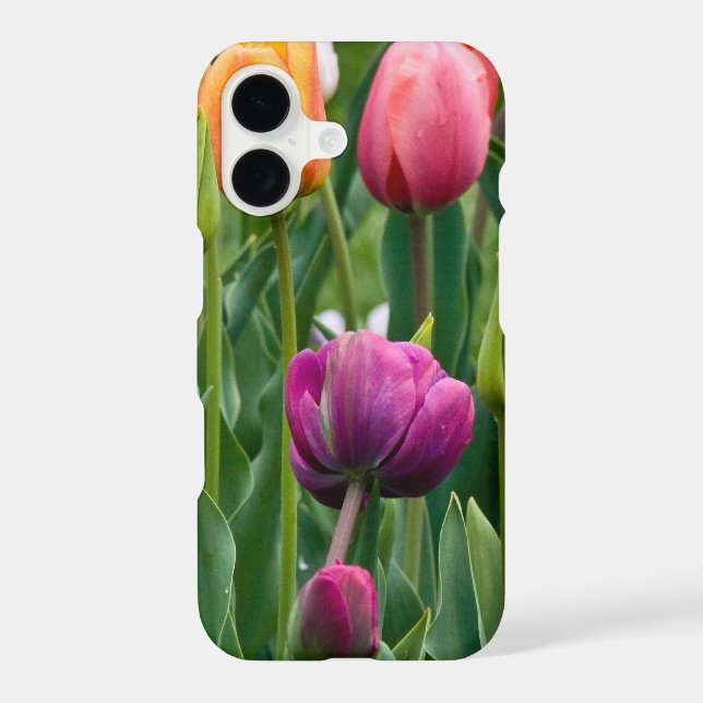 Colorful Tulips Print (Back)