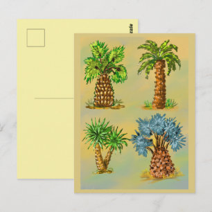 Colorful varieties of palm trees. postcard