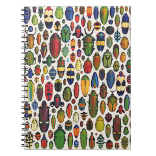 Colorful Vintage Illustrated Beetles Notebook