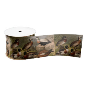 Colorful vintage painting of ducks satin ribbon