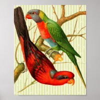 Colorful Vintage Red & Green Parrots Illustration