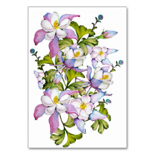 Colorful watercolor bouquet of columbine and green table number