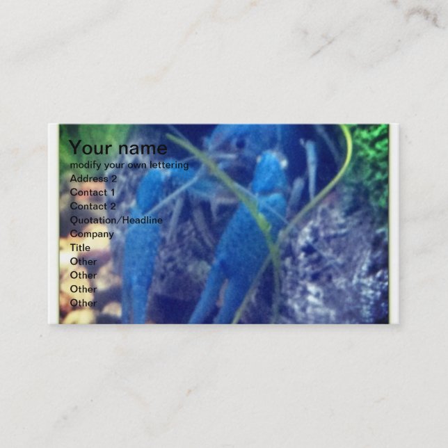 colorfull blue lobster business card (Front)