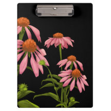 colorfull pinkflowers on a black background