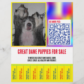 Colorfull tear off puppy selling flyer 