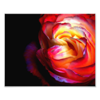 Colori Brillanti Photo Print