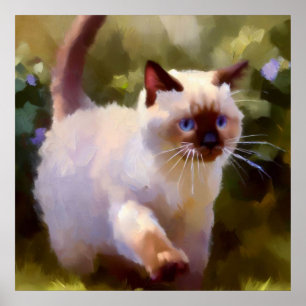 Colorpoint Shorthair Cat  Poster