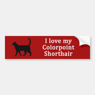 Colorpoint Shorthair Love Bumper Sticker