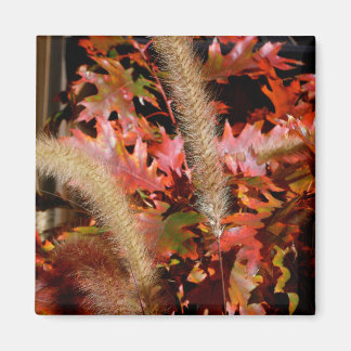 Colors of Fall Magnet