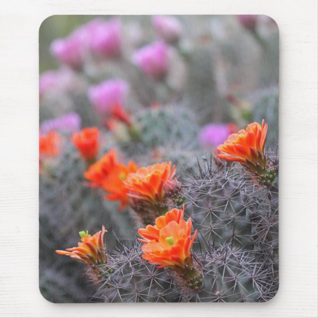 Colors of the desert mouse mat (Front)