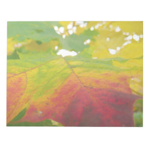 Colors of the Maple Leaf Autumn Nature Photography Notepad