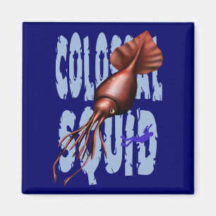 Colossal Squid Magnet