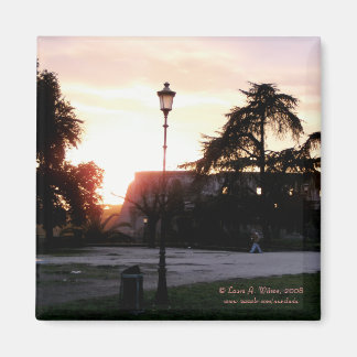 Colosseum at Sunset Magnet