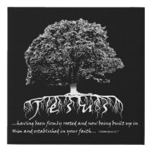Colossians 2:7 Rooted in Jesus