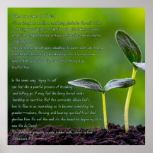 Colossians 3:3 graphic with a garden sprout