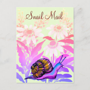colouful snail mail postcard