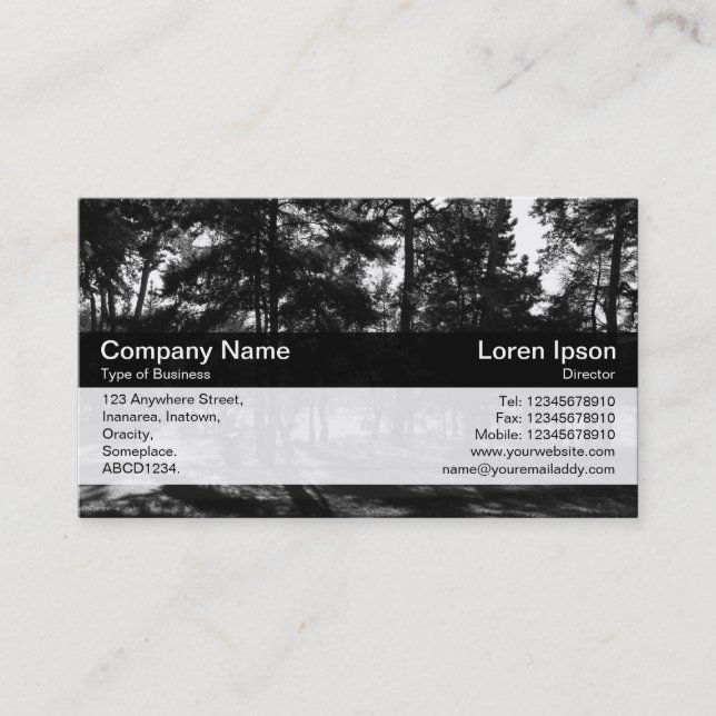 Colour Band - Black - Afternoon in the Park Business Card (Front)