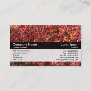 Colour Band - Black - Autumn Leaves Business Card