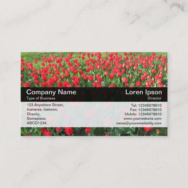 Colour Band - Black - Bed of Red Tulips 01 Business Card (Front)