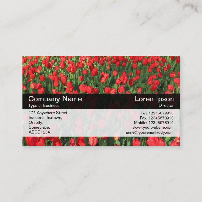 Colour Band - Black - Bed of Red Tulips 02 Business Card (Front)