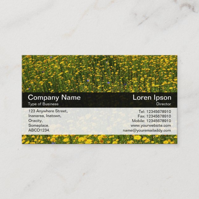 Colour Band - Black - Bed of Yellow Daisies Business Card (Front)