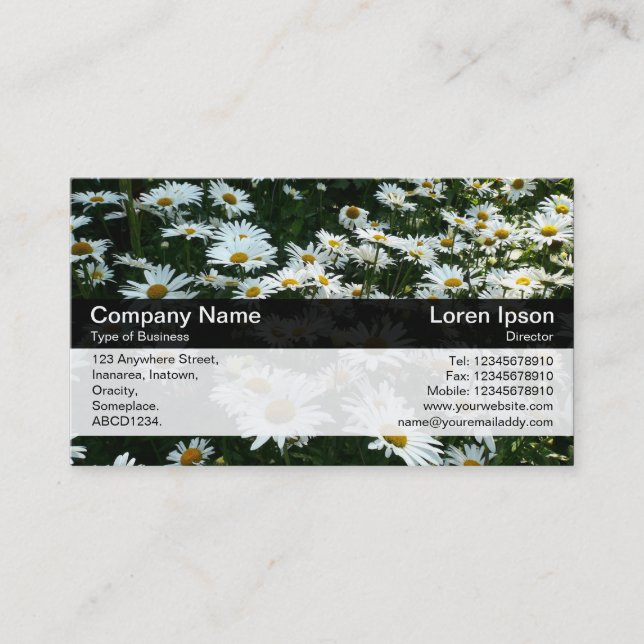 Colour Band - Black - Daisies Business Card (Front)