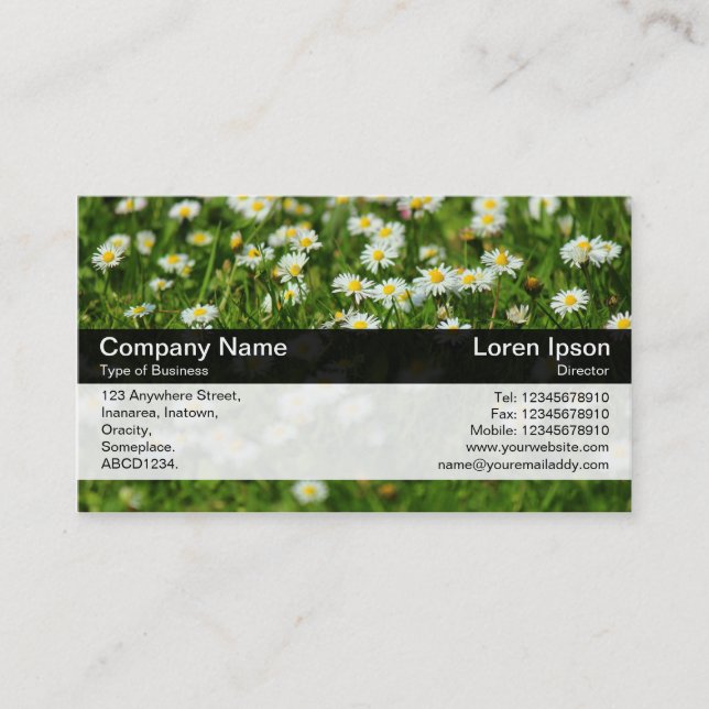 Colour Band - Black - Daisy Meadow Business Card (Front)