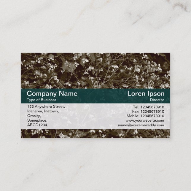 Colour Band - Dk Green - Sepia Plant Business Card (Front)