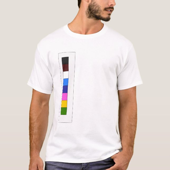 Colour Bar T-Shirt (Front)