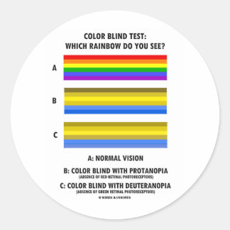 Colour Blind Test (Colours Of Rainbow Vision Test) Classic Round Sticker