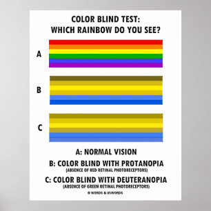 Colour Blind Test Which Rainbow Do You See? Poster