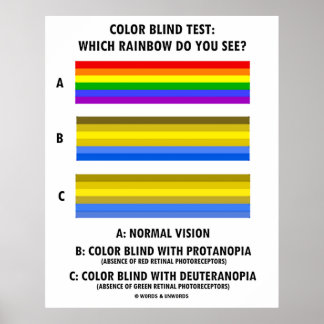 Colour Blind Test Which Rainbow Do You See? Poster
