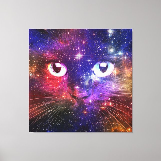 Colour Burst Galaxy Cat  Canvas Print (Front)