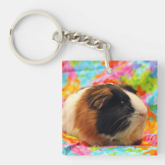Colour Burst Guinea Pig Keychain