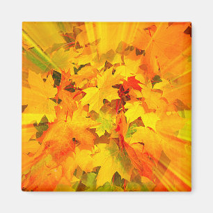 Colour Burst of Fall Leaves Autumn Colours Magnet