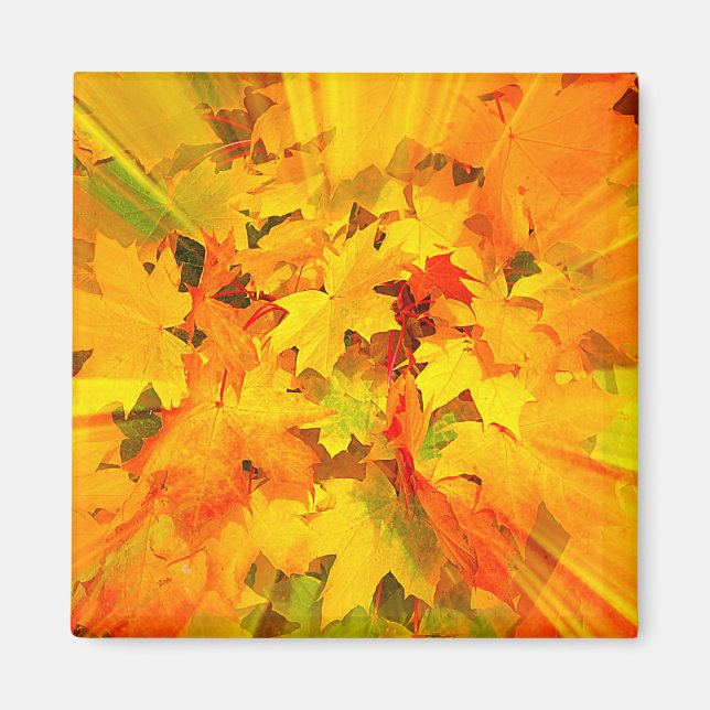 Colour Burst of Fall Leaves Autumn Colours Magnet (Front)