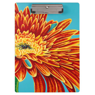 Colour Bursts I Clipboard