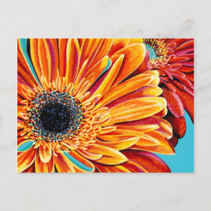 Colour Bursts II Postcard