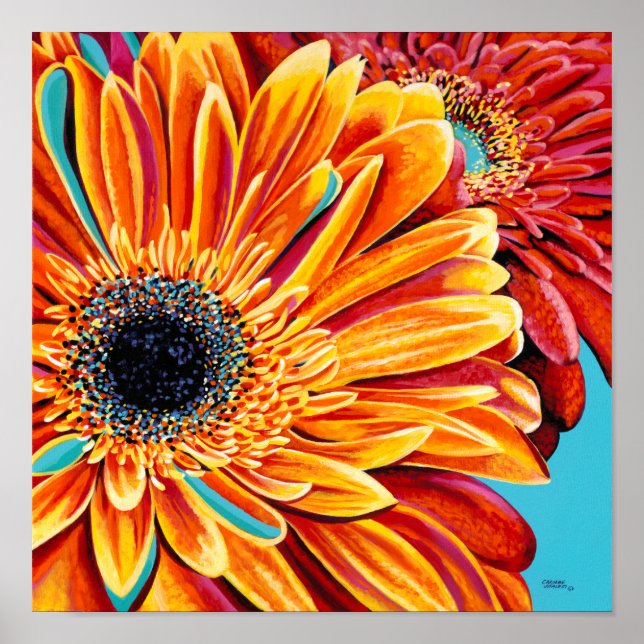 Colour Bursts II Poster (Front)