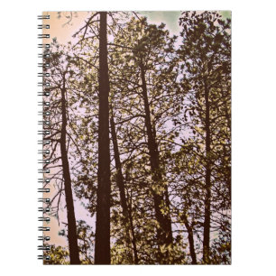 colour by the trees notebook