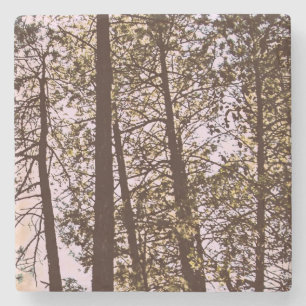 Colour by the trees stone coaster