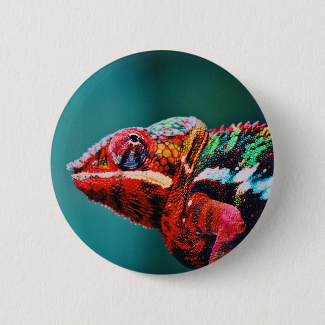 Colour Changing Rainbow Chameleon Reptile 6 Cm Round Badge (Front)