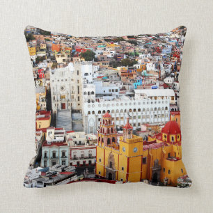 Colour Collection Cushion