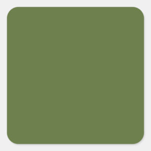 colour dark olive green square sticker
