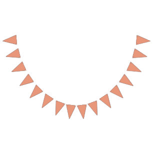 colour dark salmon bunting