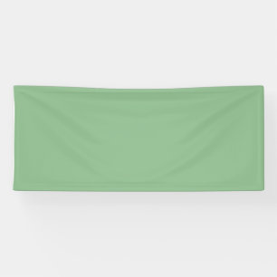 colour dark sea green banner