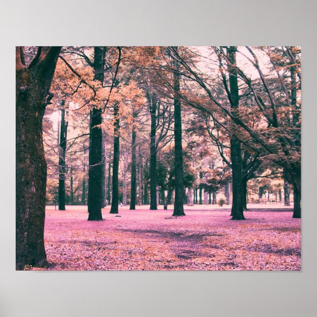 Colour effected trees in Yoyogi Park in Tokyo. Poster (Front)
