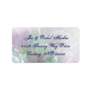 Colour Explosion Address Labels